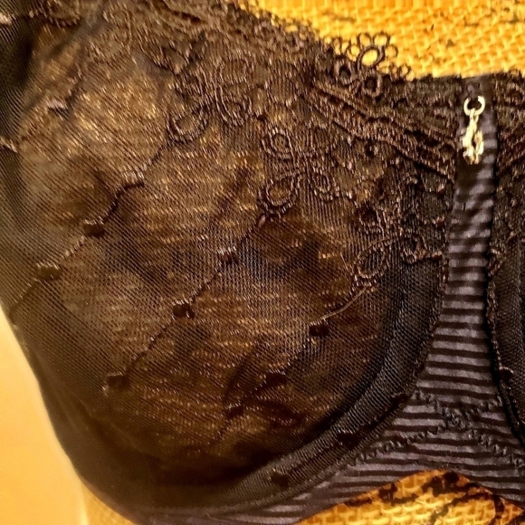 Whimsy Sheer Black Lace Bra 36DDD Sexy Valentine Lingerie Rhinestone Detail EUC - Picture 4 of 7